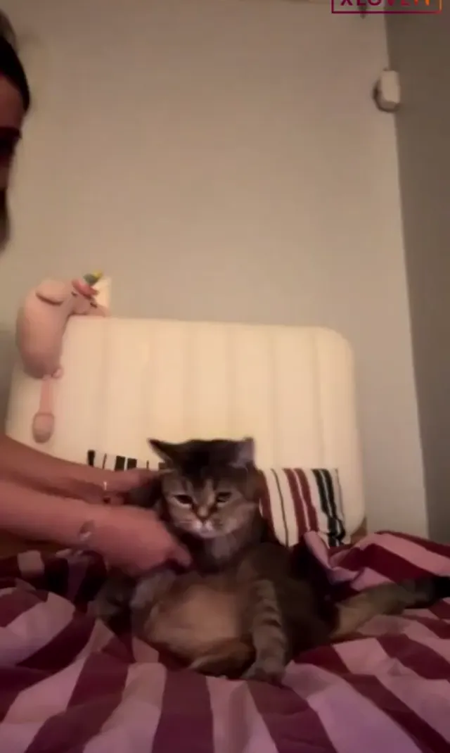 Tango Güneş — Tango Güneş ifşa Canlı yayında mastürbasyon yaptı · sahne 1