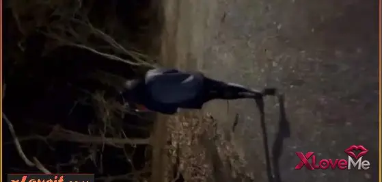 HD Pornolar — Kızı takip edip kandırdı arabada sikti
