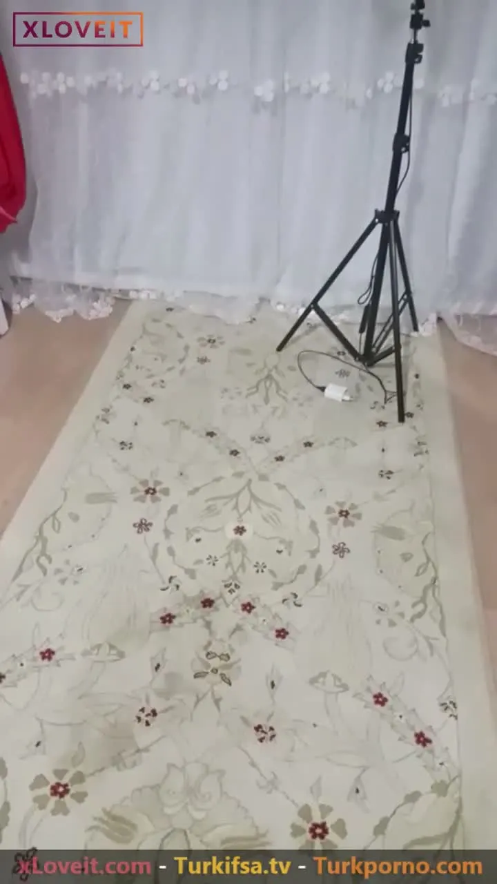 Ateşli Pornolar izle Hatun deli gibi yarrak yaladı — Amatör Porno